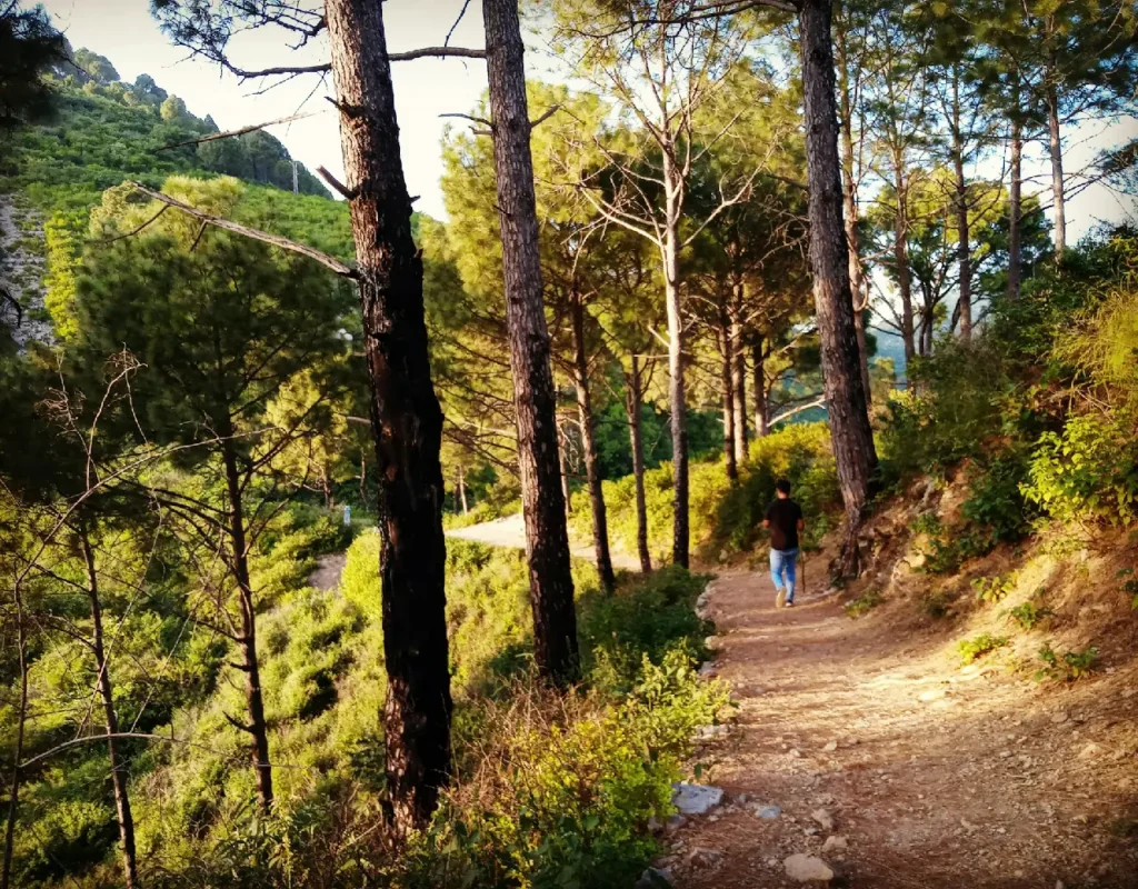Islamabad 3